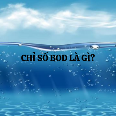 chỉ số bod