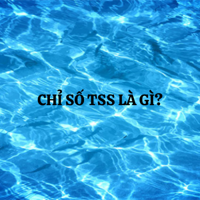 chỉ số tss
