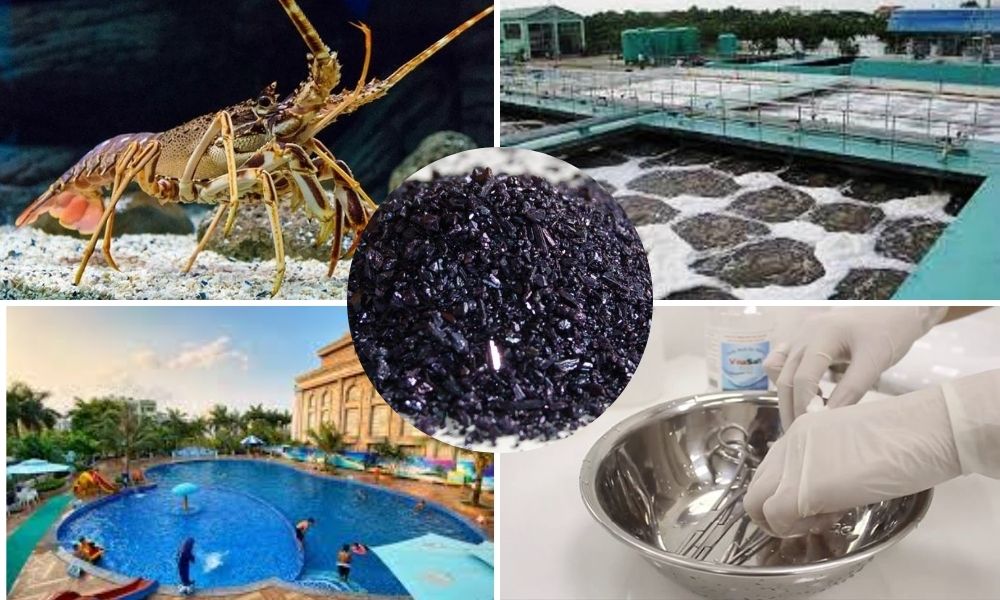 Công Ty TNHH Safechem Việt Nam